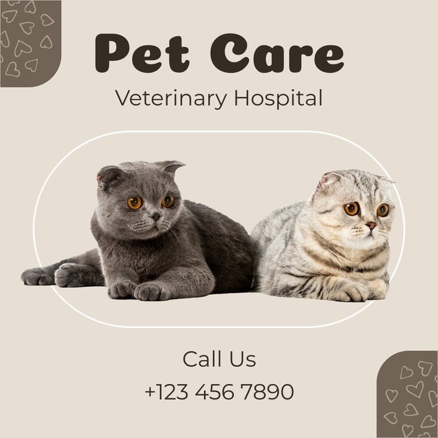Designvorlage Offer of Veterinary Clinic Services with British Cats für Instagram AD