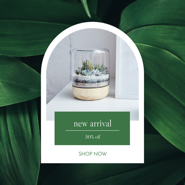 Ontwerpsjabloon van Instagram van Plants New Arrival 