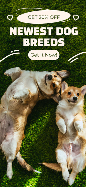 Designvorlage Newest Dog Breeds With Discounts Offer für Snapchat Geofilter