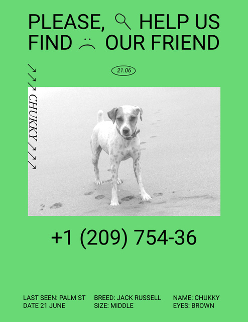 Designvorlage Eye Catching Green Ad about Missing Cute Little Dog für Flyer 8.5x11in