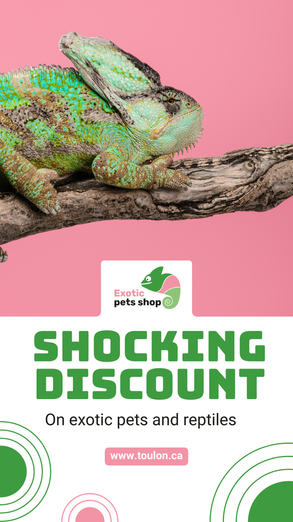 Designvorlage Pet Shop Offer Green Chameleon für Instagram Story