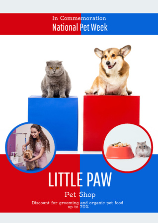 Poster national Pet week Poster tervezősablon