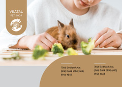 Pet Food Offer with Girl Hugging Brown Bunny