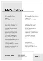 Professional Software Engineer profile
