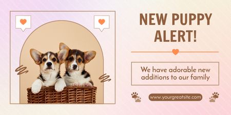 Adorable New Addition To Family Offer Twitter Design Template
