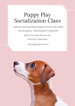 Puppy playing socialization class Poster Design Template