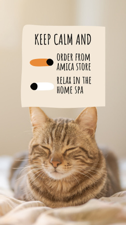 Ontwerpsjabloon van Instagram Story van schoonheidswinkel advertentie met schattige slapende kat