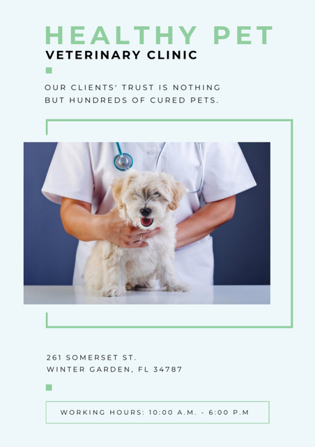 Designvorlage Vet Clinic Ad with Doctor holding Dog für Flyer A4