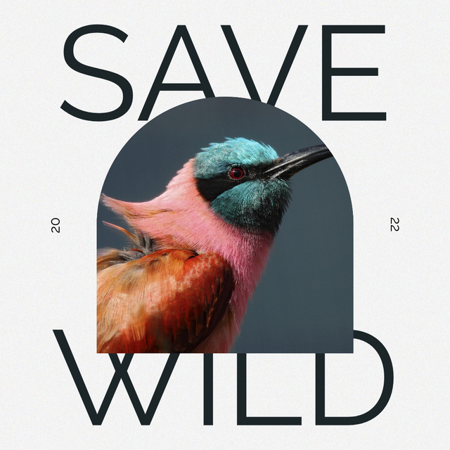 Nature Care Concept with Flying Bird Instagram tervezősablon