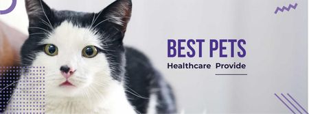 Adorable Cat for pet clinic Facebook cover Design Template