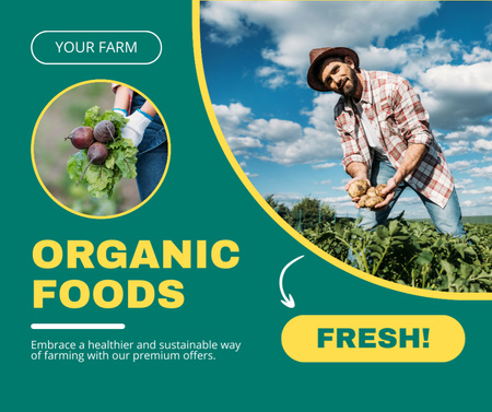 Venda de produtos agrícolas orgânicos naturais Facebook Modelo de Design