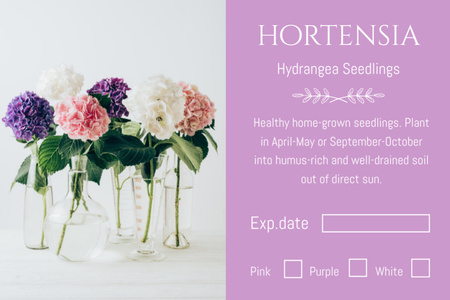 Ontwerpsjabloon van Label van Hortensia Zaailingen Detailhandel