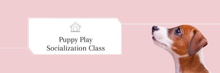 Puppy play socialization class Email header Design Template
