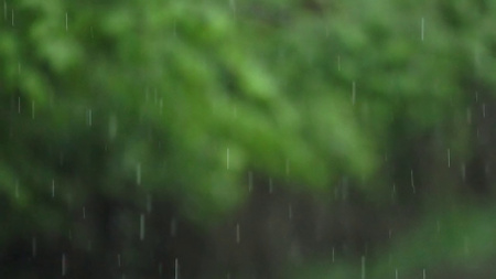 Szablon projektu deszczowy dzień wiosny Zoom Background