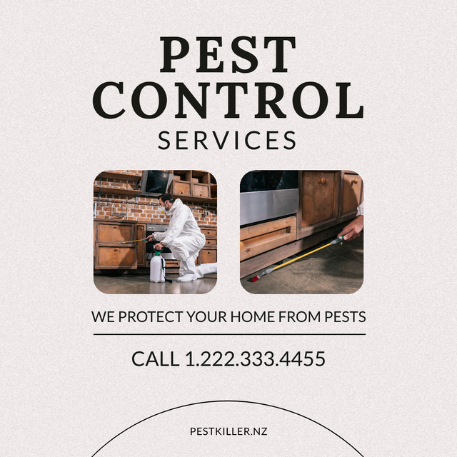 Designvorlage Safe Bug Extermination Service Offer für Instagram AD