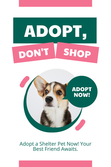 Platilla de diseño Call for Adoption of Pet from Shelter Pinterest