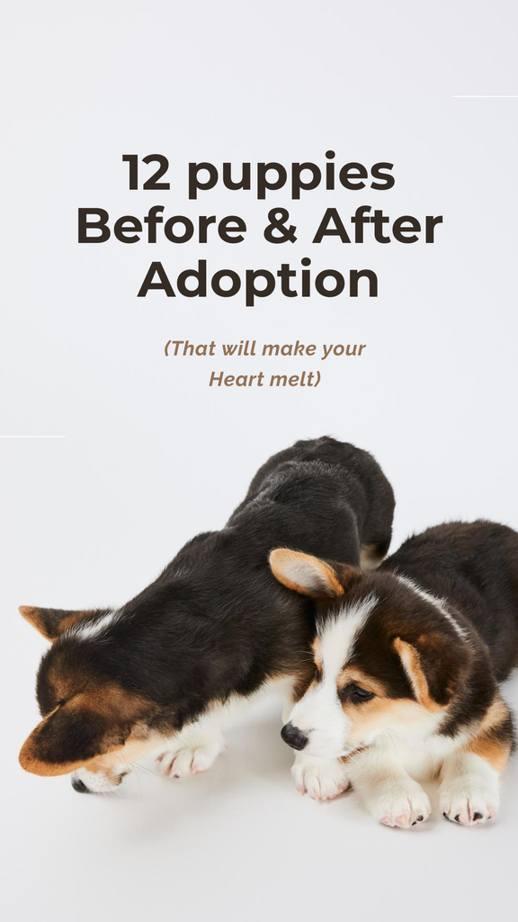 Adoption concept with Dog in pink Instagram Story Design Template