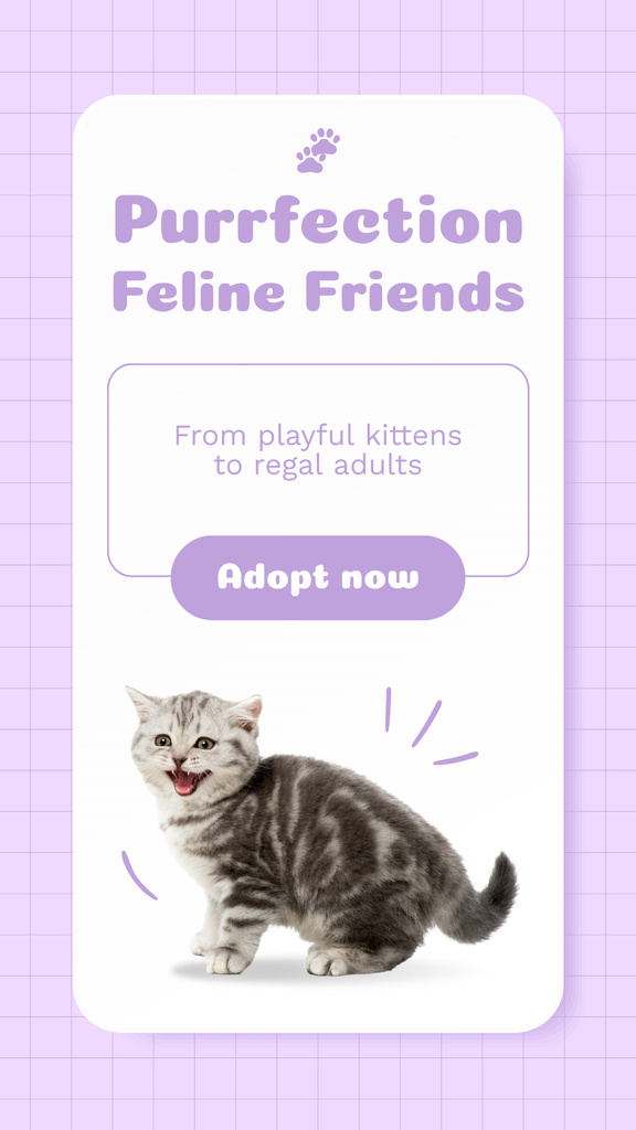 Lovely Feline Friends And Playful Kitten Instagram Story – шаблон для дизайну