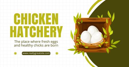 Fresh Eggs and Healthy Chicks from Hatchery Facebook AD Design Template
