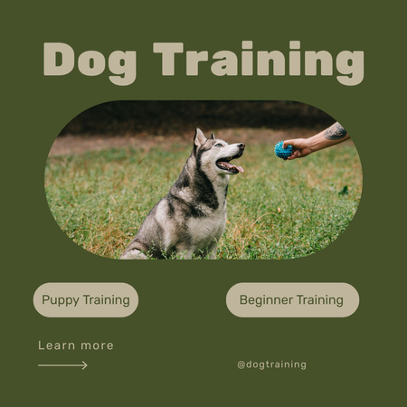 Dog Trainer Service Offer with Haski Instagram AD Design Template