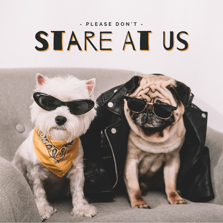 Plantilla de diseño de perros divertidos con trajes atrevidos cool Instagram 