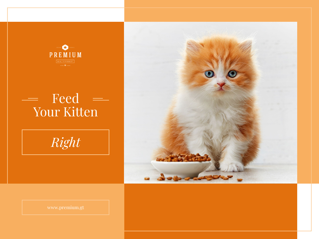 Designvorlage Feed your kitten right für Presentation
