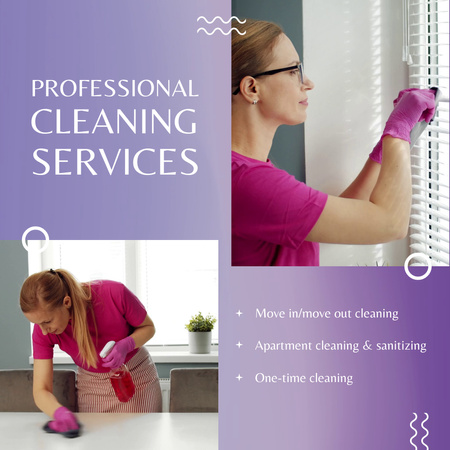 Professional Cleaner Services With Several Options Animated Post Design Template
