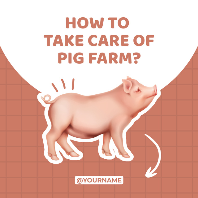 Pig Farm Care Tips Instagram AD Design Template