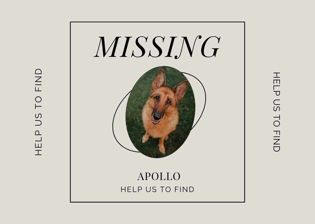 Template di design German Shepherd Missing Announcement on White Flyer A6 Horizontal