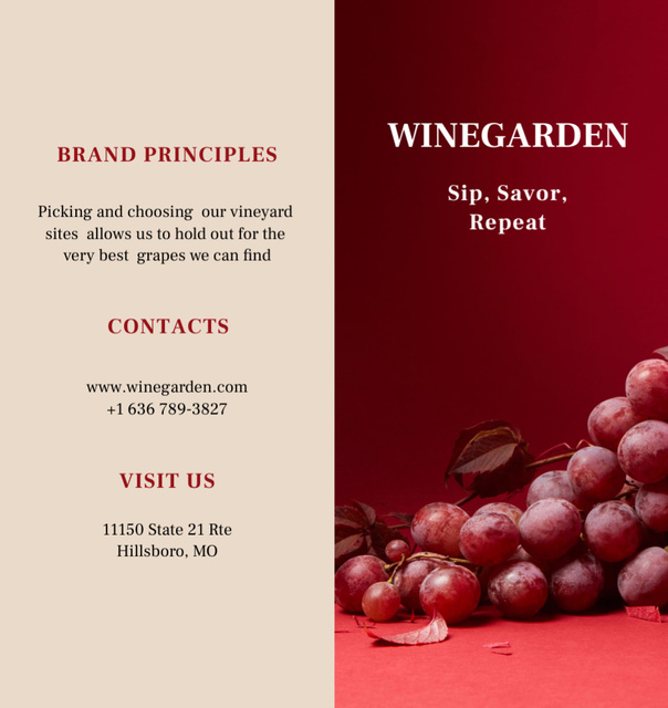 Wine Tasting with Ripe Grapes Brochure Din Large Bi-fold Design Template