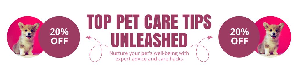Discount on Pet Care Tips and Services Twitter Design Template
