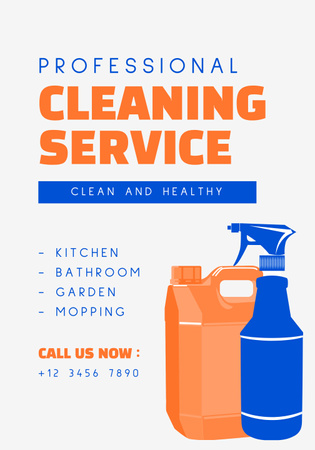 Experienced Cleaners Services Offer With Detergents And Description Poster 28x40in Modelo de Design