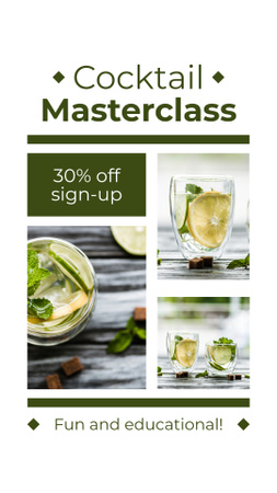 Fun and Educational Cocktail Masterclass Instagram Story Design Template