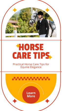 Plantilla de diseño de Consejos prácticos para el cuidado de los caballos Instagram Story 