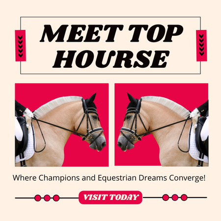 Platilla de diseño Top Horse Show Announcement Instagram