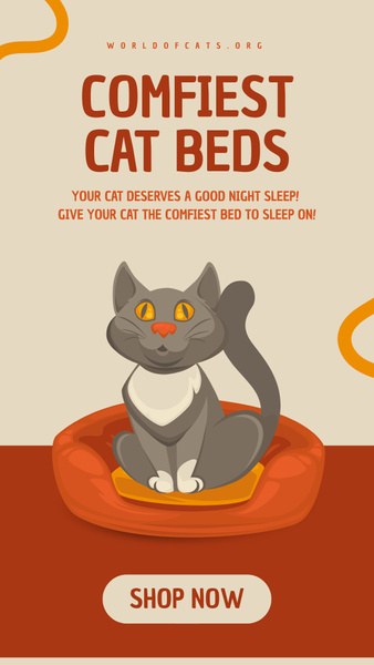 Comfiest Cat Beds