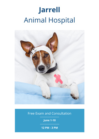 Animal Hospital With Cute Injured Dog Postcard A6 Vertical Design Template