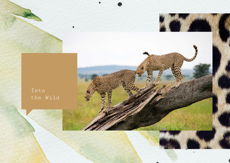 Wild cheetah in natural habitat Postcard Modelo de Design