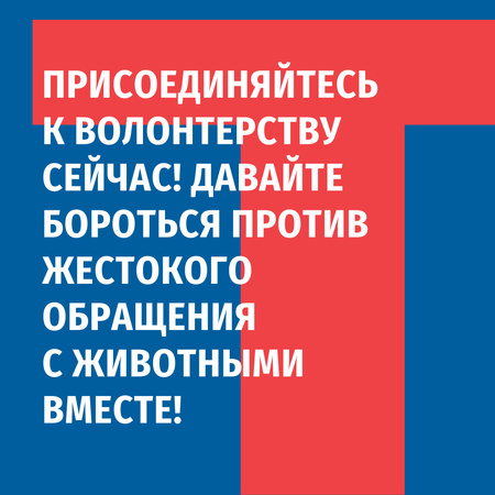 Volunteering Quote on blue and red Instagram AD – шаблон для дизайна