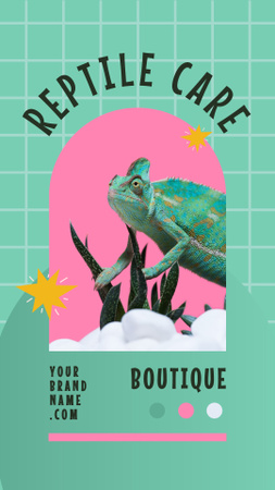 Ontwerpsjabloon van Instagram Story van Chameleon Reptile Care Offer