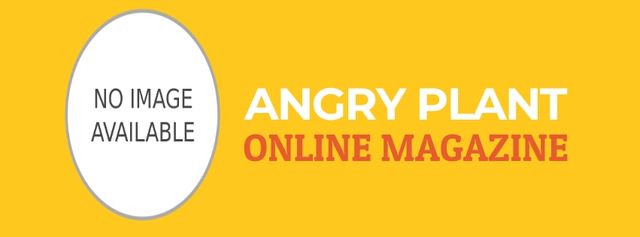 Angry cactus cartoon character Facebook Video cover Design Template