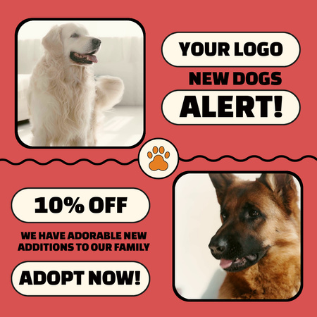 Promotional Offer for Purchasing Pet Animated Post Design Template