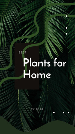Designvorlage Leaves of Exotic Plant für Instagram Story