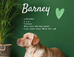 Lost Dog Information with Cute Labrador Photo