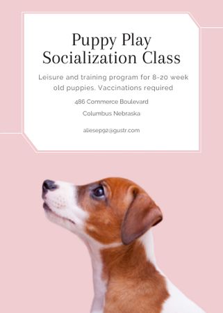 Designvorlage Puppy socialization class with Dog in pink für Flayer
