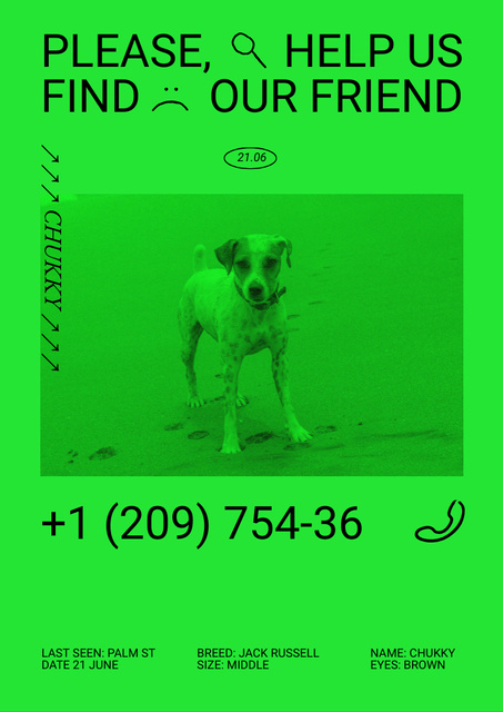 Announcement about Missing Cute Little Dog Flyer A4 Design Template