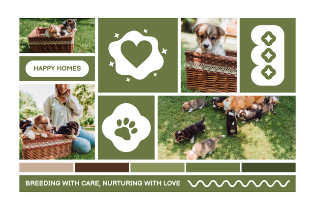 Photo of Women with Corgi Puppies in Park Mood Board Design Template