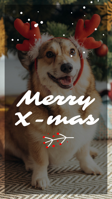 Cute Christmas Greeting with Dog Instagram Video Story Tasarım Şablonu