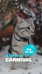 Paws Carnival For Cat Owners Offer