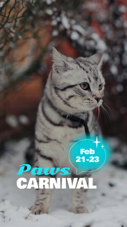Предложение Paws Carnival для владельцев кошек TikTok Video – шаблон для дизайна